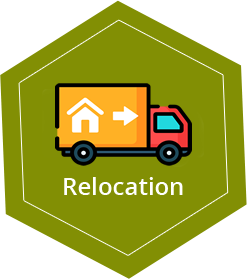 Rapid Freight and Transport Ltd | relocation